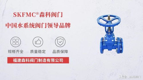 伸縮軟密封閘閥 知名生產(chǎn)廠家與技術服務的綜合解析